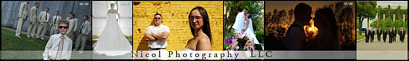 baby photographer kitchener