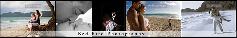 portrait photography kitchener