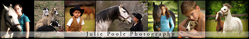 portrait photographer waterloo